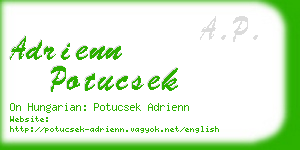 adrienn potucsek business card